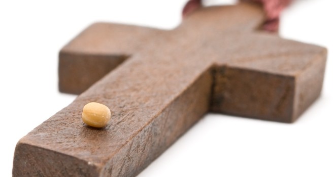 The Deeper Meaning of How Faith is ‘Like a Mustard Seed’