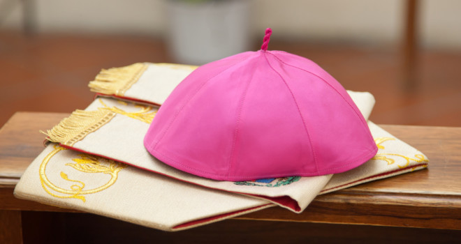Prayer Warriors: Pray the Luminous Mysteries for Bishops this Week