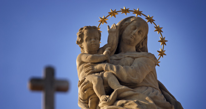 Mary, Star of the Sea: The Light Who Guides Us Home
