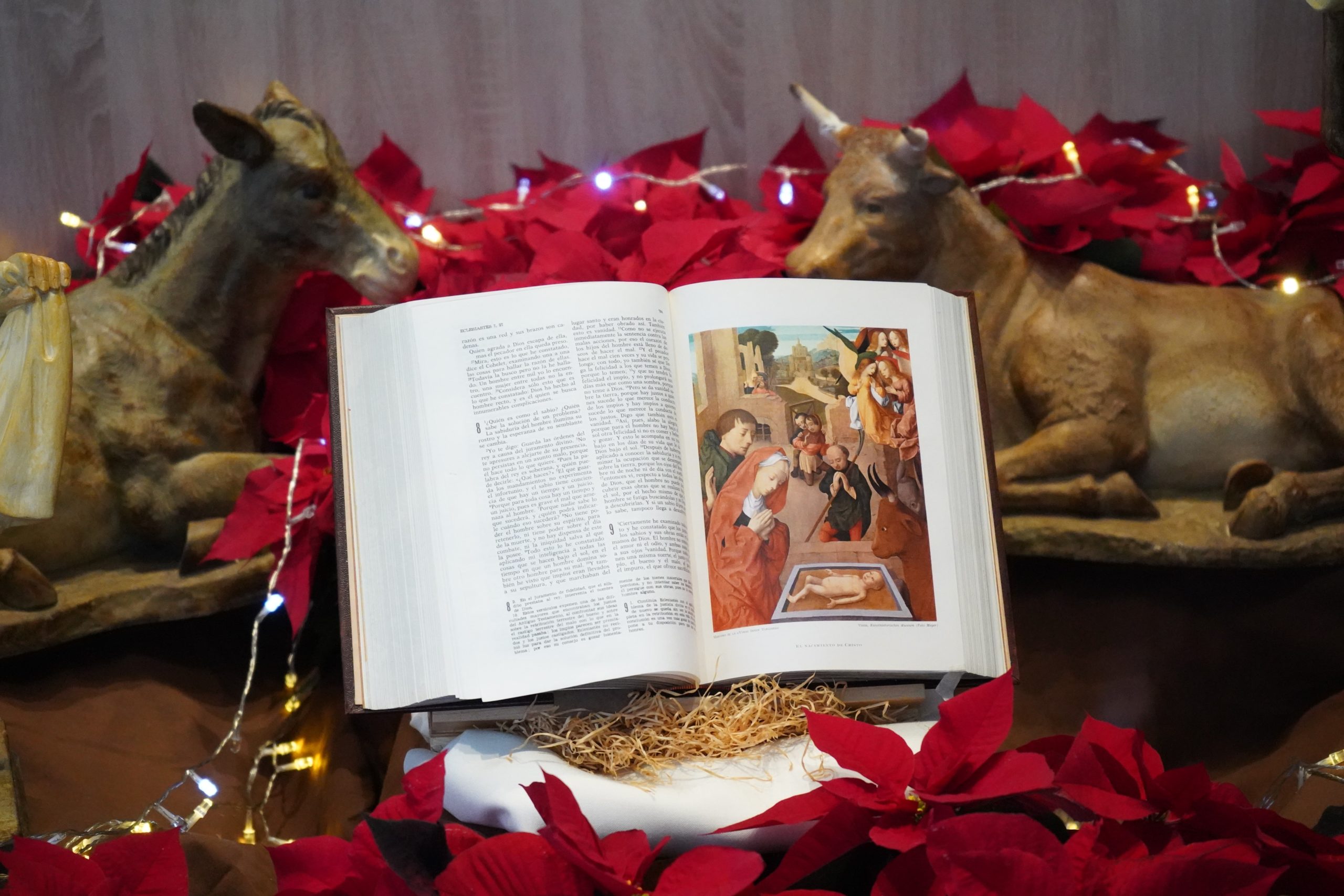 The New Year and the New Testament