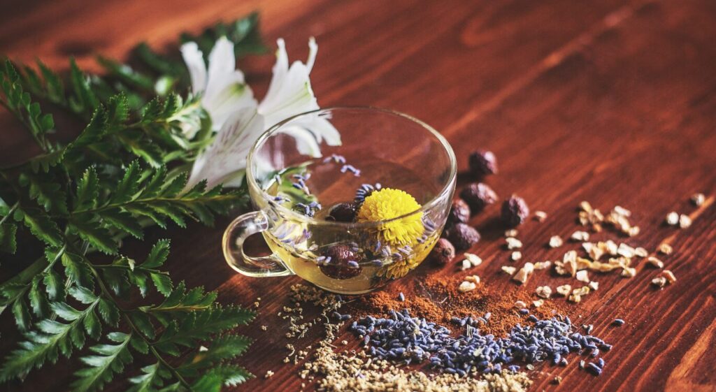 There’s No Need to Fear Herbal Medicine