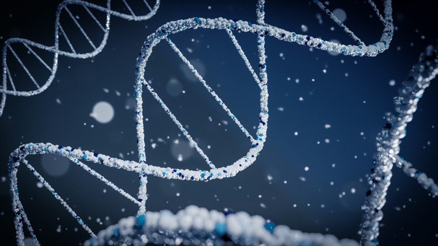 From Gift to Product: The Logic of IVF, Abortion, Eugenics, and Transhumanism