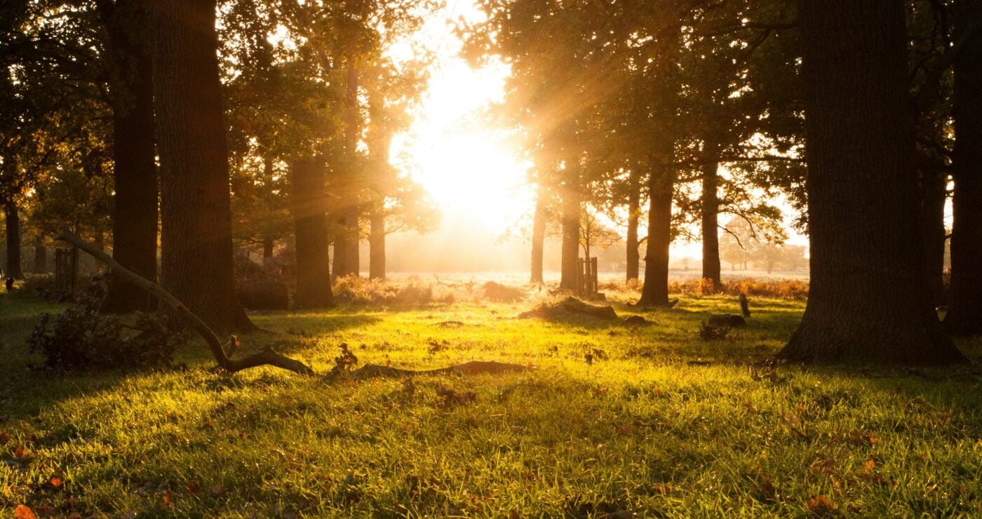 Living Consciously: The Key to a Deeper Faith