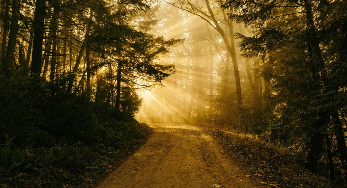The Difficulties of Forgiving and a Practical Path into Choosing Mercy